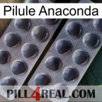 Anaconda Pill 31